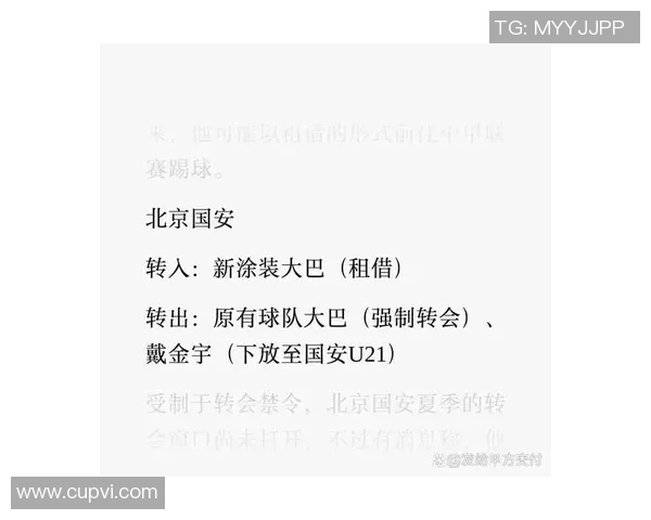 中超球队冬季转会窗口引援汇总及分析全面解读